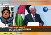 ‘Israel disfruta de total impunidad ante crímenes contra palestinos’