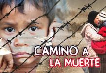 ¿Qué harías si tú fueras el migrante? · Detrás de la Razón ·