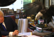 Siria y la rendición de Trump a los halcones de Washington. Debate Directo