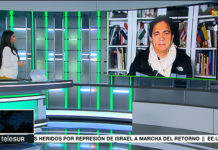 EE.UU. no puede mediar entre Palestina e Israel. TeleSUR