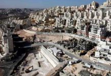 Pérez: La crítica no sirve, Europa debe tomar medidas contra Israel