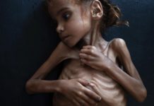 Entender el conflicto de Yemen