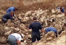 Por terrorista, Cádiz retira Premio a la Libertad a �lvaro Uribe
