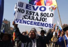 Luis Arce, o cómo destruir un país